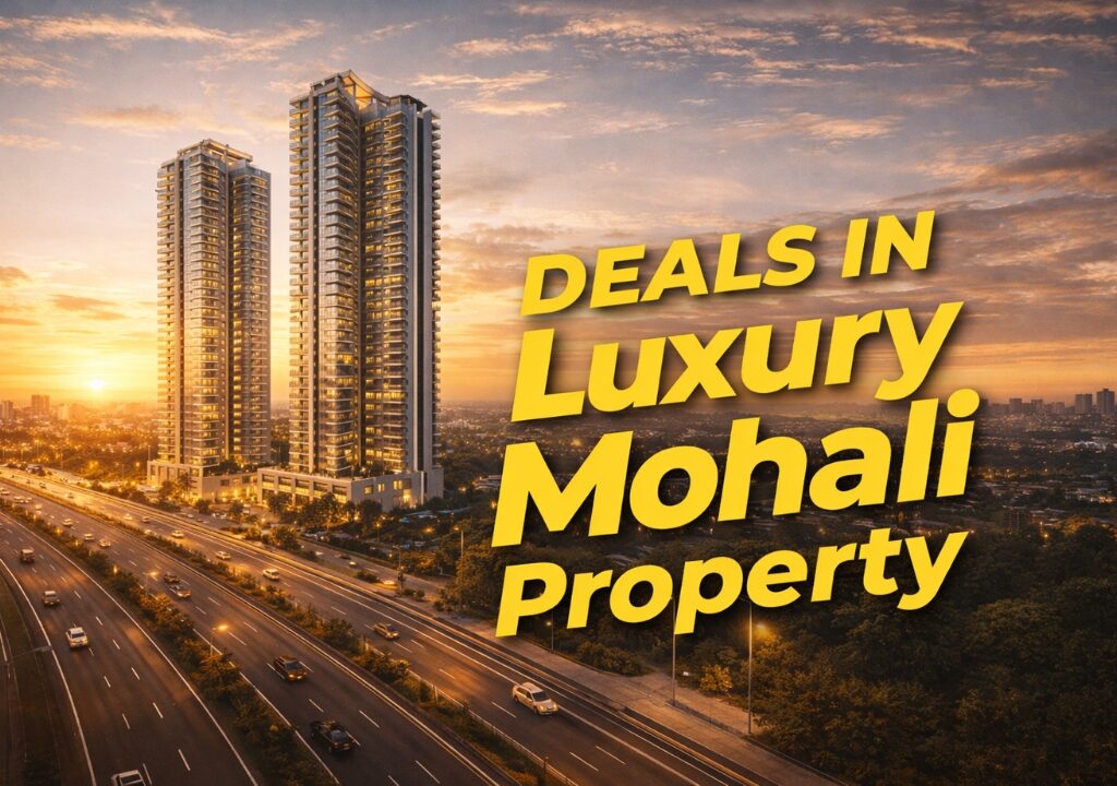 Deals in Luxury Mohali Property